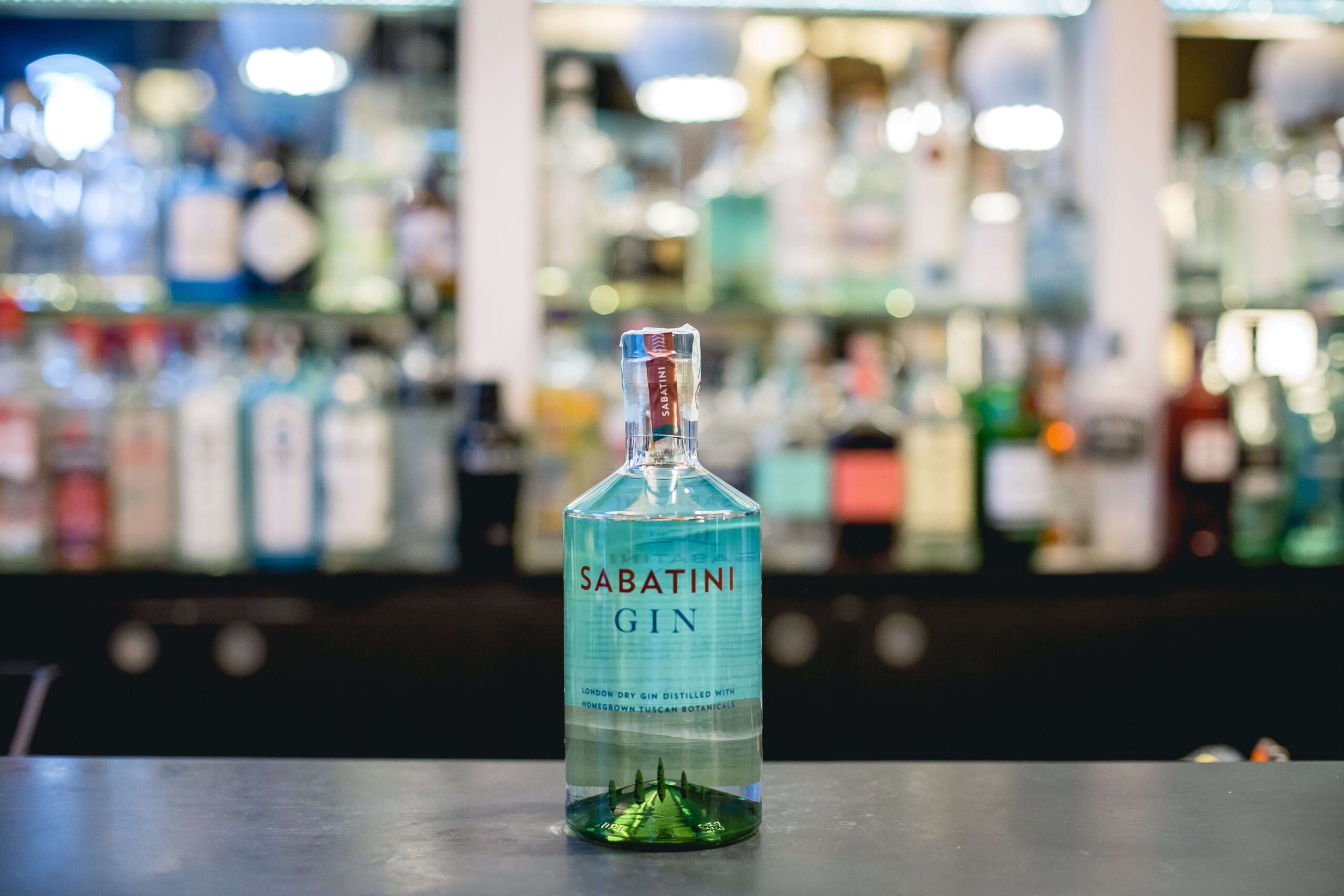 sabatini gin